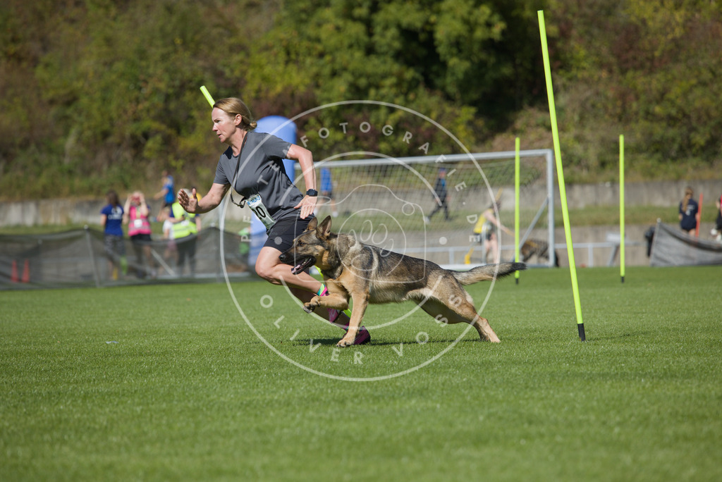 0L8A5958 | Hundefotografie, Tierfotograf, Pfotenfotografie, Fotoshooting Hund, Hunde Portrait, Hundesport, Hundeportraits, Heideshooting, Hunde, Sportfotograf, Hundefotograf, Turnierhundsport, THS,  - Realisiert mit Pictrs.com