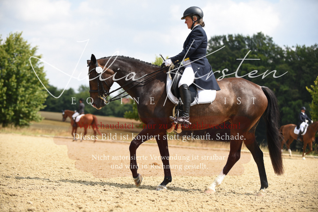 DSC_4298 | Pferde- und Turnierfotografie in Westsachsen. Pferdeportraits, Auftragszeichnungen und intuitive Kunst.