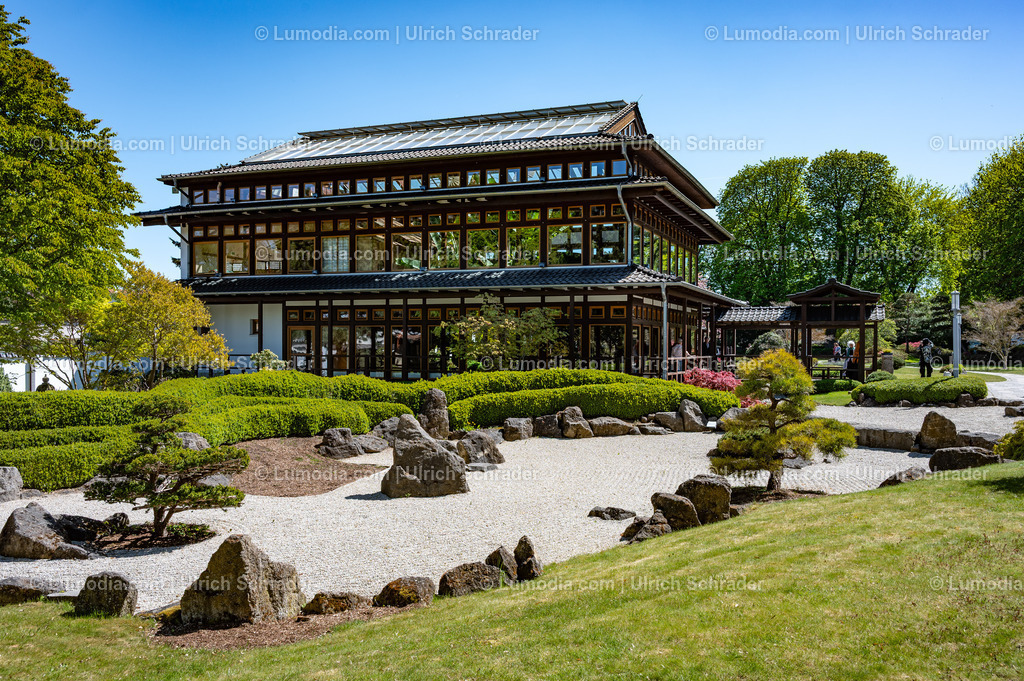 10049-14030 - Japanischer Garten in Bad Langensalza | Stockfoto und Bilderpool mit Bildmaterial aus Deutschland, dem Harz, Halberstadt, Quedlinburg, Wernigerode und weltweit. Qualitativ hochwertige und professionelle Fotos anschauen und kaufen. - Realisiert mit Pictrs.com