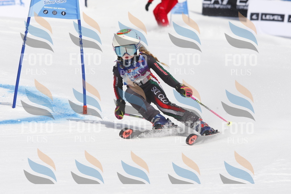 _W1G0757 | holidayphoto