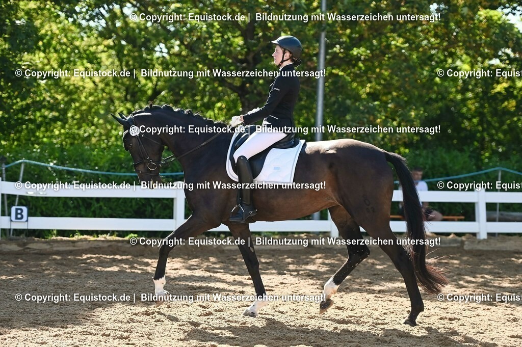 20230715_06_Dressurpferdeprfg. Kl.A_0371 | equistock