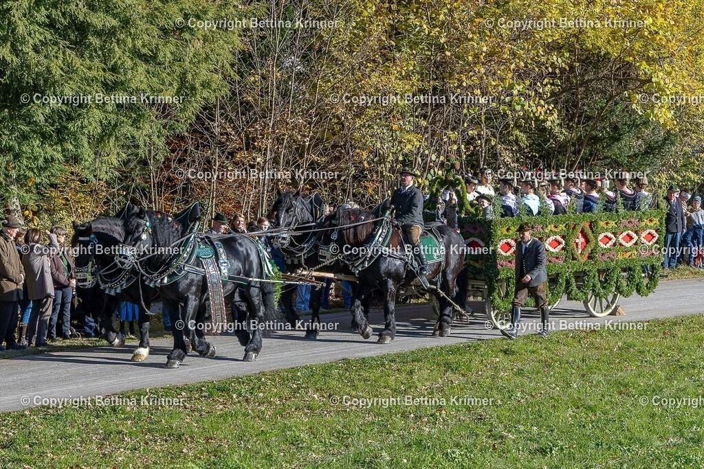 LBT25-299 | foto-bettina-krinner - Realisiert mit Pictrs.com