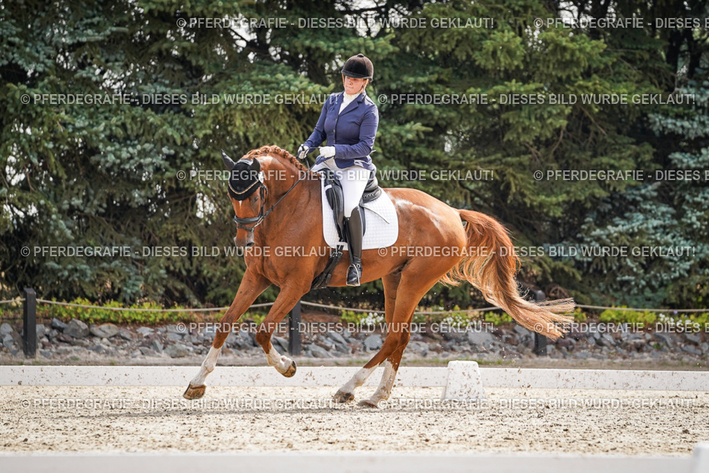 DSC07322 | Pferdegrafie