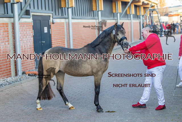 KWEP (37 von 702) | mandyhollmannphotographie