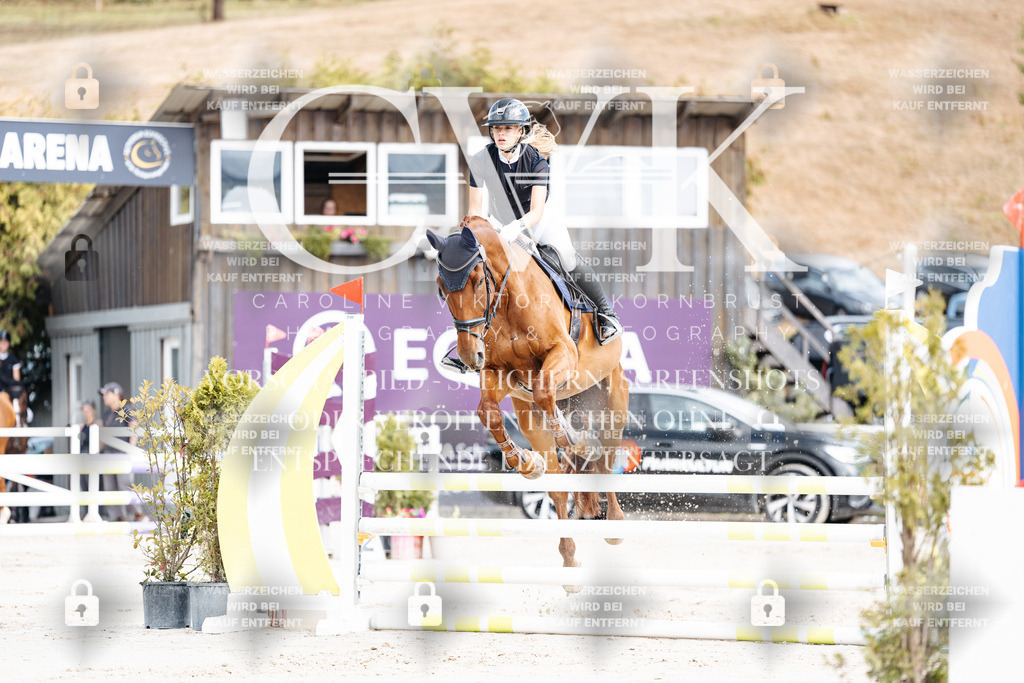 CK908992 | Turnierfotografie Pferdefotografie Trier Rheinland-Pfalz Pferdesport Reitsport Tierfotografie Sportfotografie Pferdevideo Pferdevideografie Equestrianvideography equestrianphotography  - Realisiert mit Pictrs.com