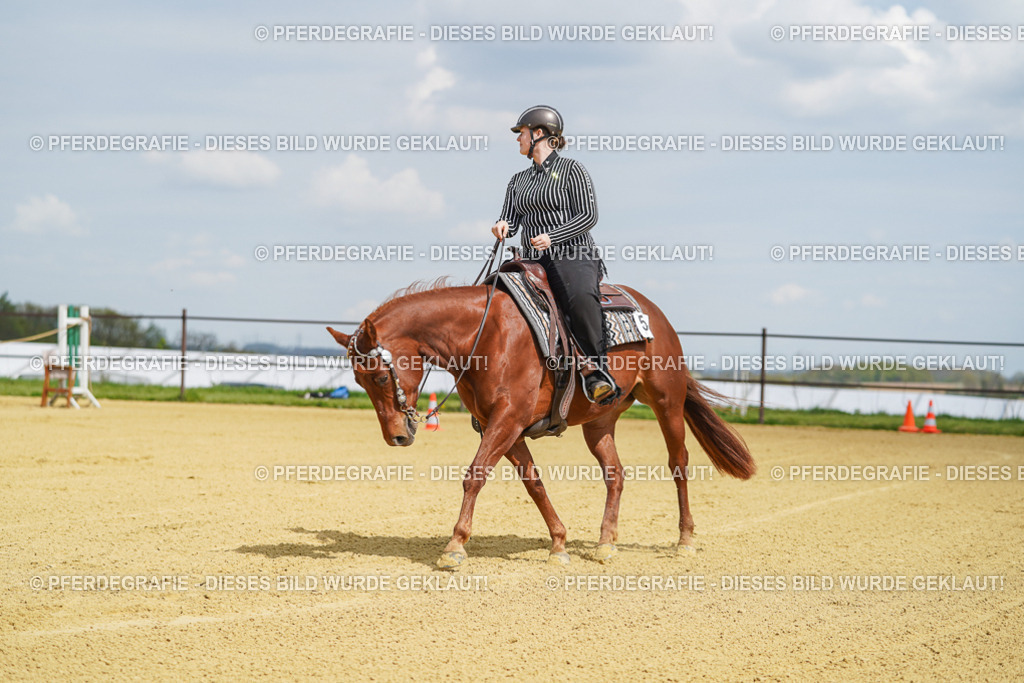 DSC05558 | Pferdegrafie