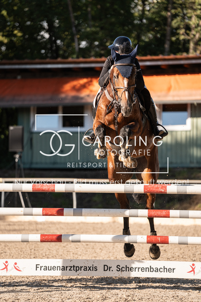 DSC04485 | Carolin Gieschke