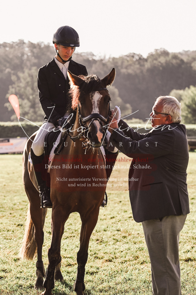 DSC_4547 | Pferde- und Turnierfotografie in Westsachsen. Pferdeportraits, Auftragszeichnungen und intuitive Kunst.