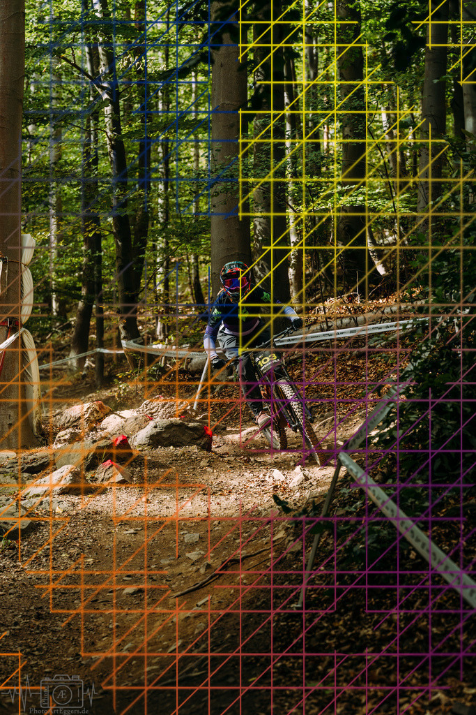 PAE-1795 | Einzigartige Fotokunst für dein Zuhause: Entdecke hochwertige Wandbilder, edle Prints und emotionale Motive von Wildlife, Natur und Landschaften - Realisiert mit Pictrs.com