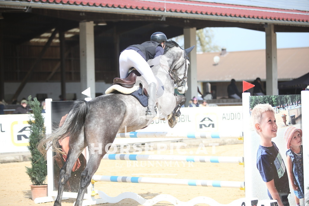 PP013897 | Willkommen bei Brunnmayr - Design & Fotografie – Ihrem Spezialisten für Reitturniere und Pferdeveranstaltungen in Oberösterreich, Salzburg und Bayern! Seit über 17 Jahren sind wir leidenschaftlich dabei.