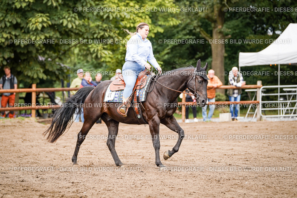 DSC06457 | Pferdegrafie