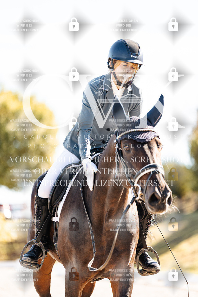 CK908847 | Turnierfotografie Pferdefotografie Trier Rheinland-Pfalz Pferdesport Reitsport Tierfotografie Sportfotografie Pferdevideo Pferdevideografie Equestrianvideography equestrianphotography  - Realisiert mit Pictrs.com