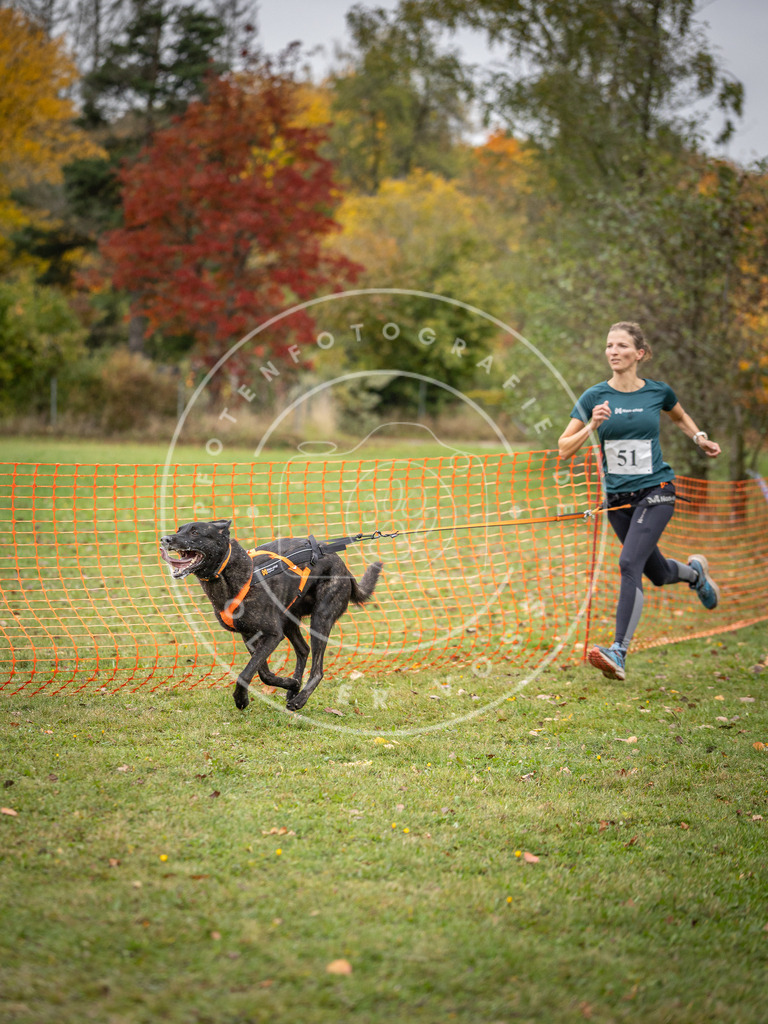 Pfotenfotografie_DV3A2492 | Hundefotografie, Tierfotograf, Pfotenfotografie, Fotoshooting Hund, Hunde Portrait, Hundesport, Hundeportraits, Heideshooting, Hunde, Sportfotograf, Hundefotograf, Turnierhundsport, THS,  - Realisiert mit Pictrs.com