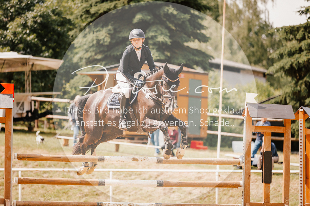 3I6A2337 | Stimmungsvolle Portraits und Reitsportfotografie im Ruhrgebiet und im Münsterland.

Pferdefotografie, Hundefotografie, Tierfotografie, Reportagen, Portraits von Tier und Mensch, Turnierfotografie in Bochum, Recklinghausen, Marl, Haltern am See, Dülmen.. - Realisiert mit Pictrs.com