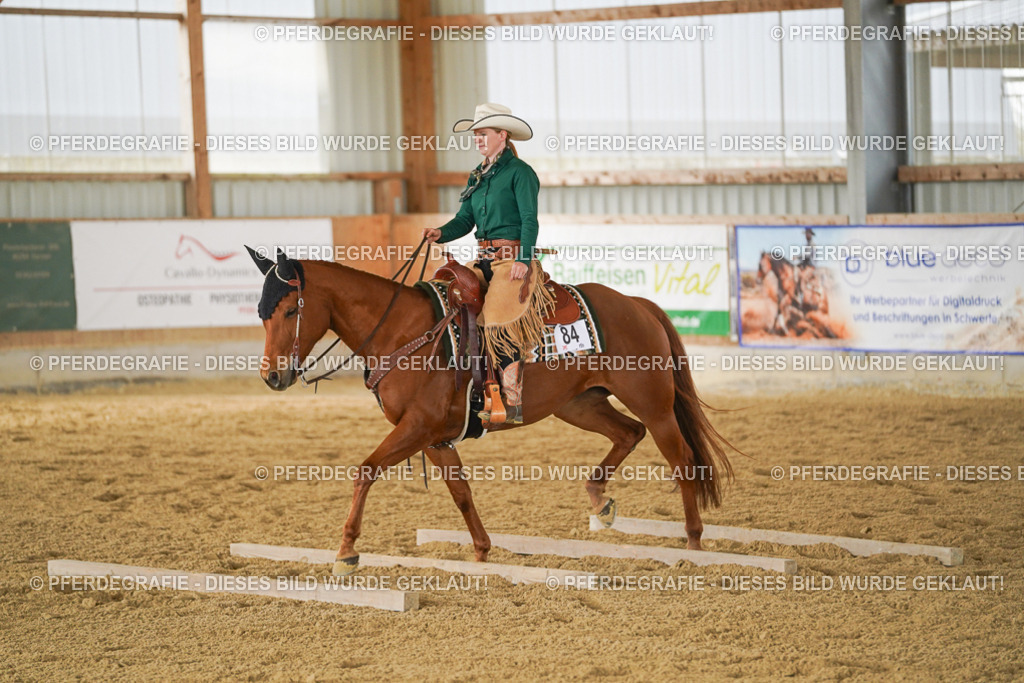 DSC04627 | Pferdegrafie