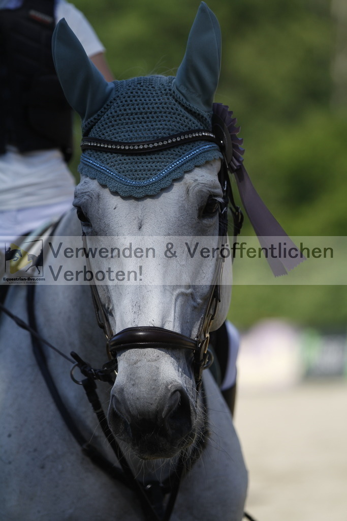 _MG_2638 | equestrian-live-com