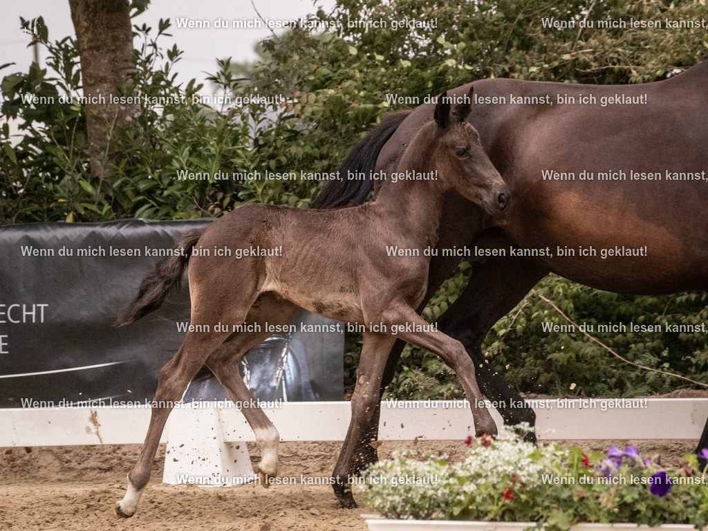 A10I5306 | photographylinaismer - Realisiert mit Pictrs.com