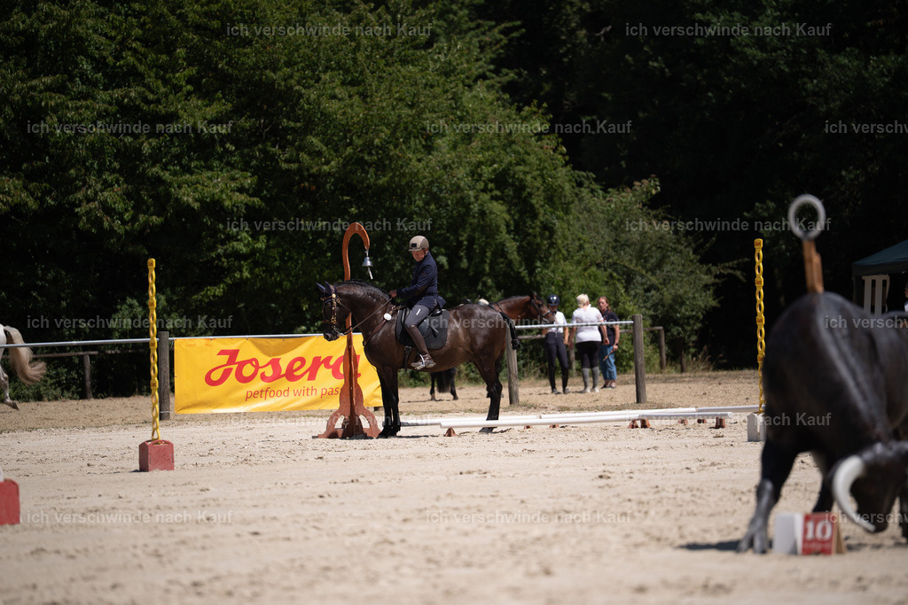 WS_ST_37_stoibphotography_SO11219 | working equitationturnier fotograf videograf stoibphotography marixx film working equitation deutschland reitsport turnierfotografie eventfotografie equestrian events