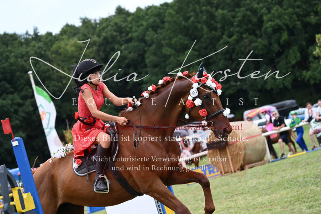 DSC_9290 | Pferde- und Turnierfotografie in Westsachsen. Pferdeportraits, Auftragszeichnungen und intuitive Kunst.
