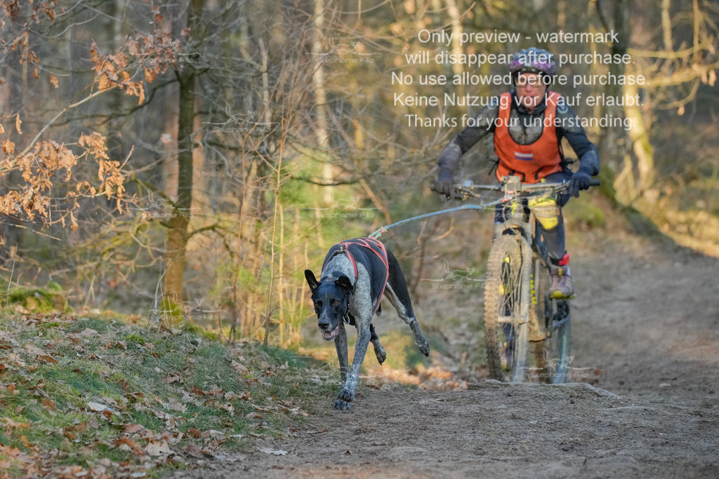 Sa_Bike-261 | stephaniefillaphotographie - Realisiert mit Pictrs.com