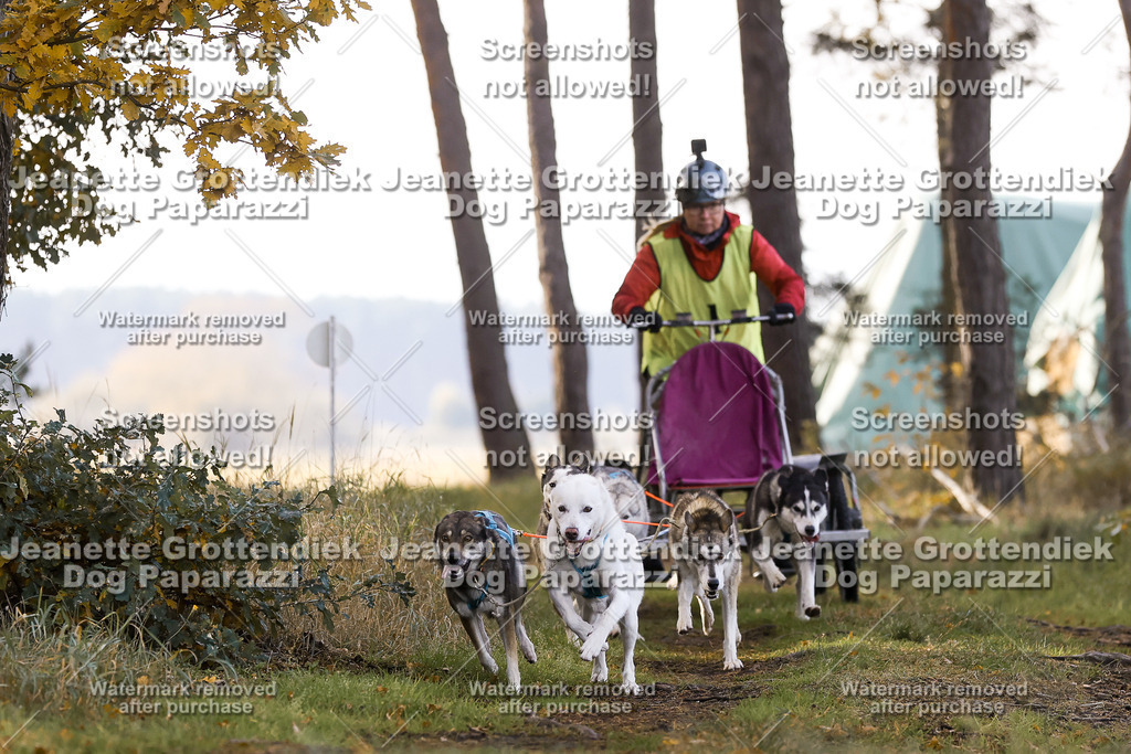 Dog Paparazzi - Elsholz 25 -33 | Dog Paparazzi Jeanette Grottendiek Fotografie & Videografie