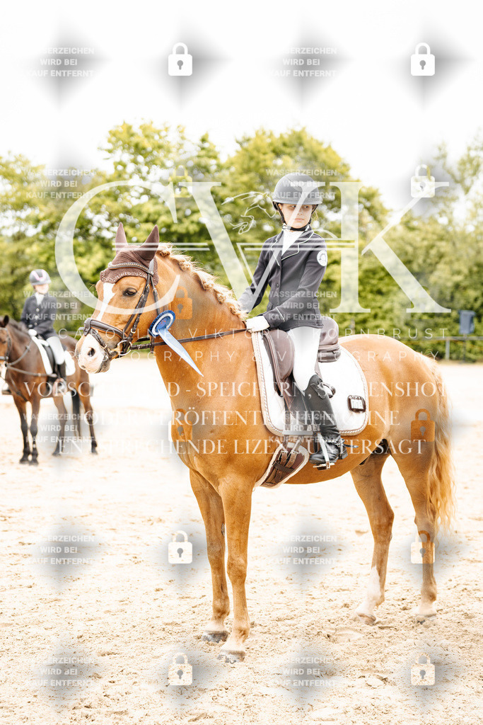 CK703668 | Turnierfotografie Pferdefotografie Trier Rheinland-Pfalz Pferdesport Reitsport Tierfotografie Sportfotografie Pferdevideo Pferdevideografie Equestrianvideography equestrianphotography  - Realisiert mit Pictrs.com