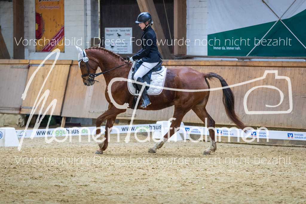 Sth-WBO25-EDr-122 | MomenTaufnahmen Pferdesportfotos