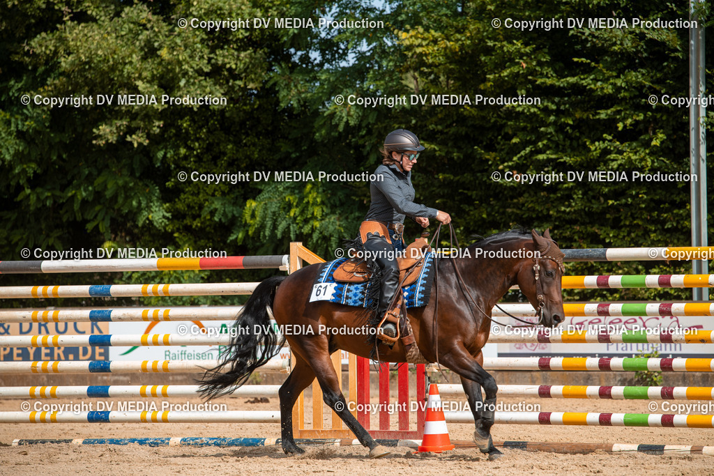 EWP_5878 | dv-media-shop - Realisiert mit Pictrs.com