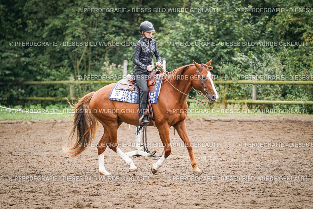 DSC02425 | Pferdegrafie