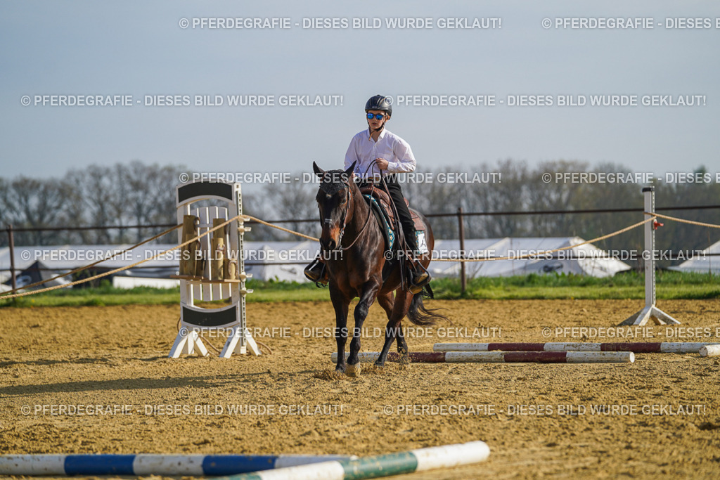 DSC00807 | Pferdegrafie