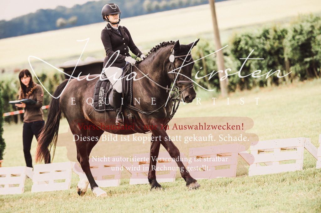 DSC_4880 | Pferde- und Turnierfotografie in Westsachsen. Pferdeportraits, Auftragszeichnungen und intuitive Kunst.