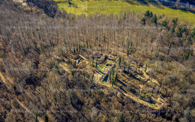 Arnsberg250305446 | Luftbild, Ruine Rüdenburg, auch Alte Grafenburg, Waldgebiet, Arnsberg, Sauerland, Nordrhein-Westfalen, Deutschland