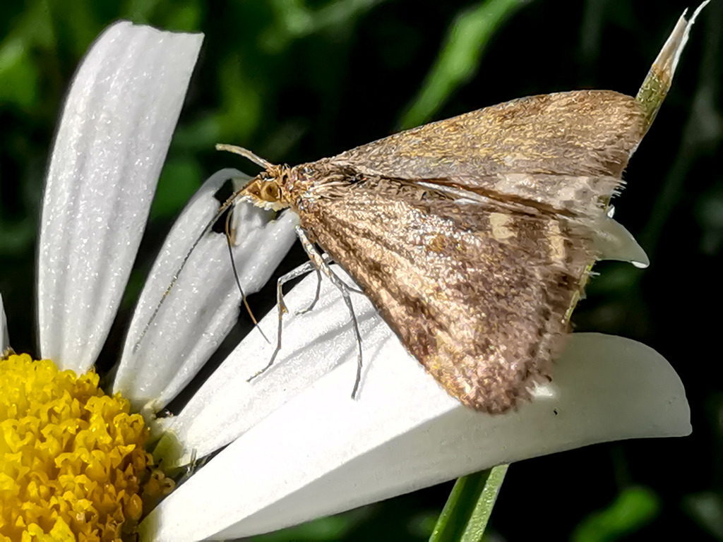 PSX_20230902_001516 | mtkfoto_ - Realisiert mit Pictrs.com