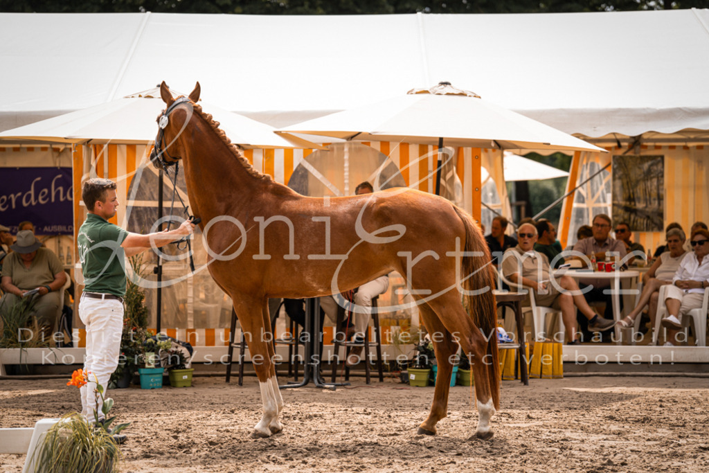 4.Fr00156 | Leoni Ertmer Photography - Realisiert mit Pictrs.com