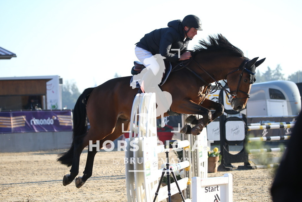 DL2Q0552 | Willkommen bei Brunnmayr - Design & Fotografie – Ihrem Spezialisten für Reitturniere und Pferdeveranstaltungen in Oberösterreich, Salzburg und Bayern! Seit über 17 Jahren sind wir leidenschaftlich dabei.