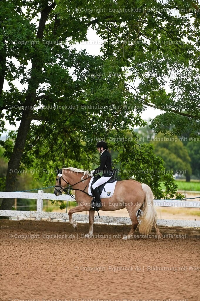 20230716_10-1_Reiter-WB Schritt - Trab - Galopp_0222 | equistock