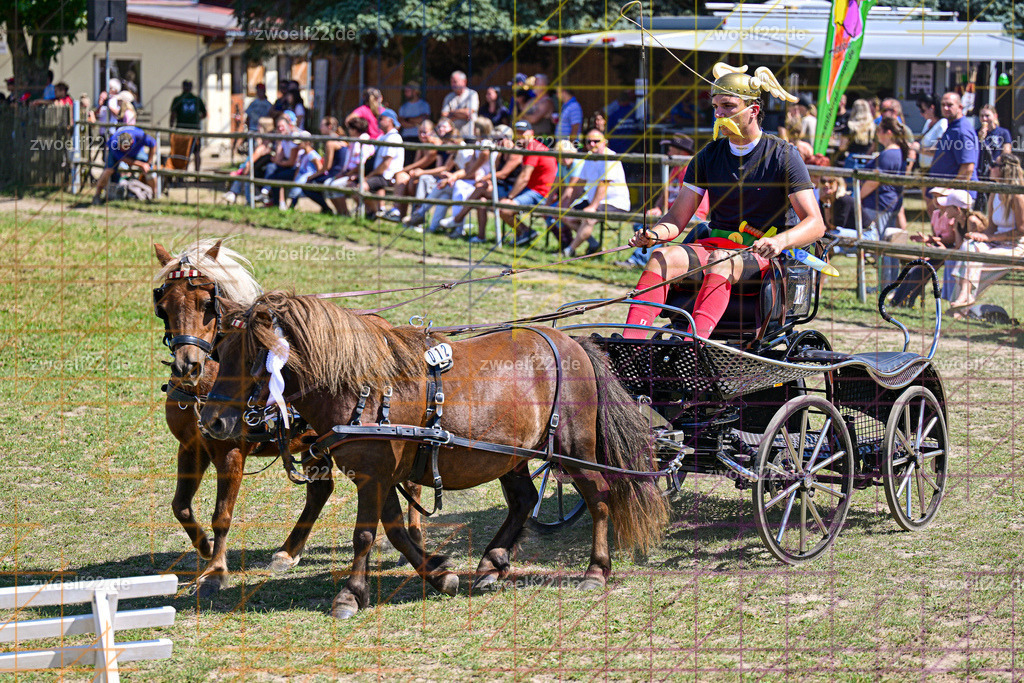 30 Jahre RFV Pulsnitz e.V., Pulsnitz am 09.08.2026 | 30Jahre Reit- und Fahrverein Pulsnitz e.V., Pulsnitz am 08.08.2026Zur 28. breitensportlichen Veranstaltung des RFV Pulsnitz e.V. fanden verschiedene Wettbewerbe in nahezu allen Disziplinen des Pferdesport statt.- schönstes Schaubild - Realisiert mit Pictrs.com