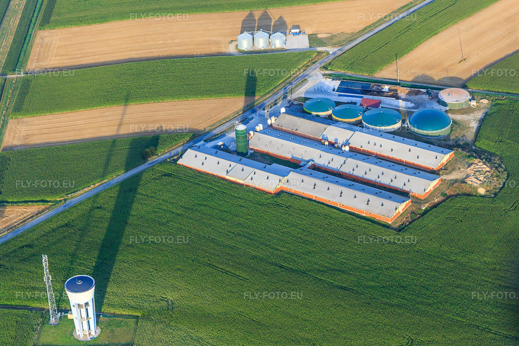 Vue aérienne: Exploitation d'engraissement de porcs avec unité de méthanisation près du château d'eau à Wintzenbach dans le département Bas Rhin, France – .Photo: IMG_121019.jpg prise le 23/07/2020 par Werner Riehm/FLY-FOTO.eu – Résolution de l'original: 4577 x 3051 px