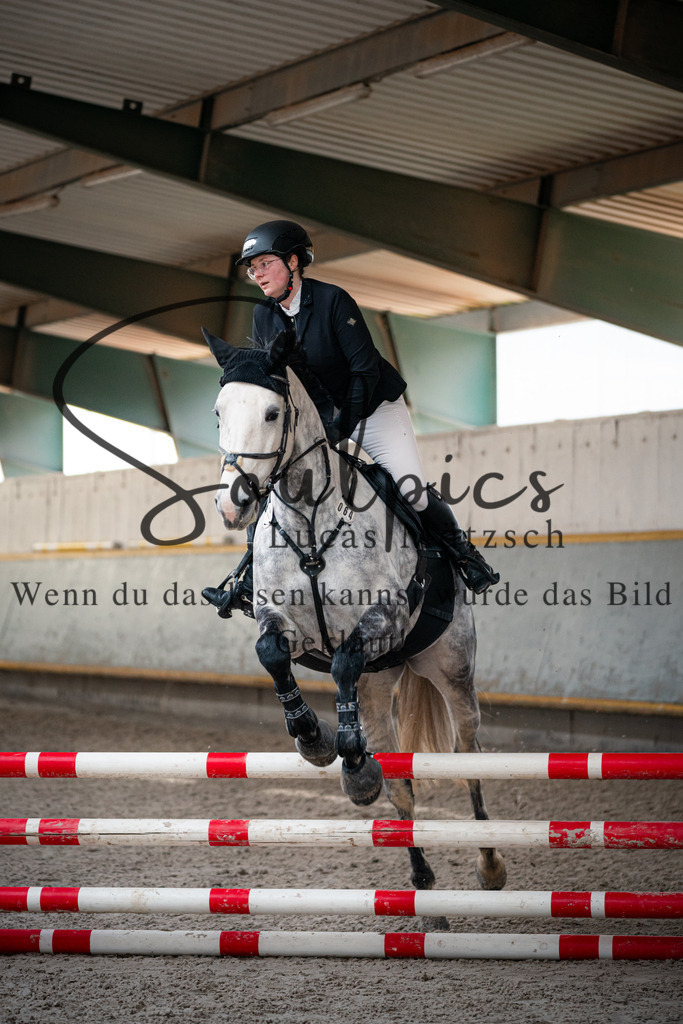 A7V03532 | Pferdefotograf