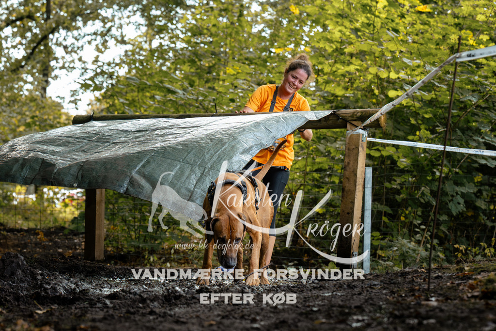 1415DZ6_1322Z6 | kk-dogfotos