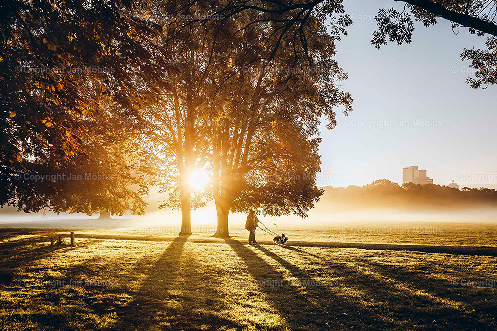Rosental | Das Rosental in Leipzig ist eine grüne Oase mitten in der Stadt – perfekt für Spaziergänge, Joggingrunden, Picknicks und Naturerlebnisse. Mit weiten Wiesen, altem Baumbestand, einem Aussichtsturm und Wildgehege zählt es zu den beliebtesten Erholungsgebieten Leipzigs. - Realisiert mit Pictrs.com