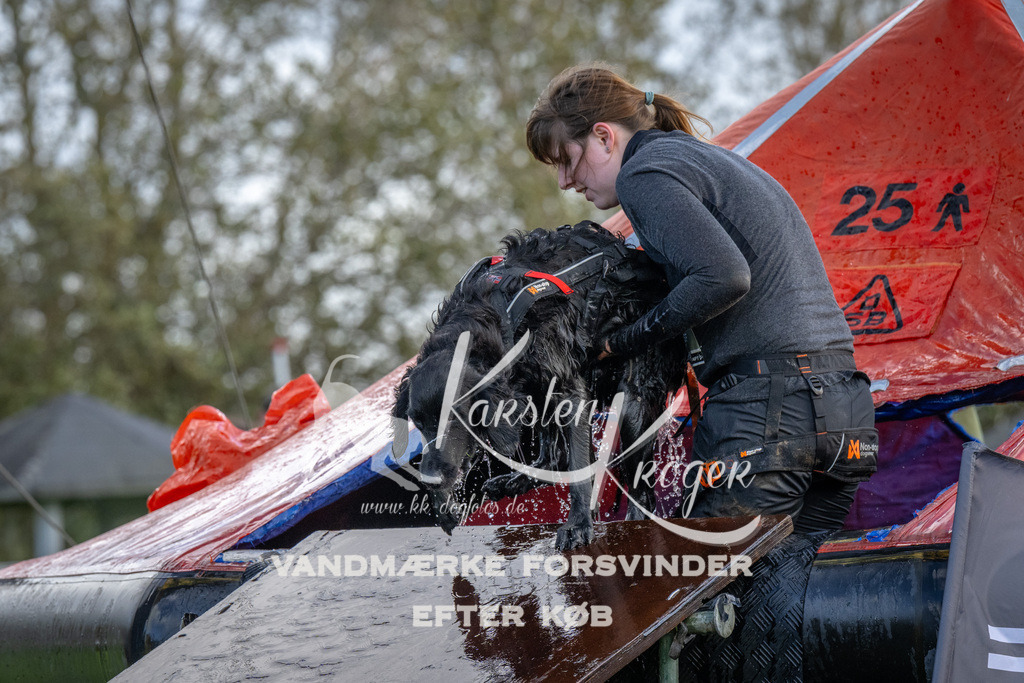 1227-93795 | kk-dogfotos