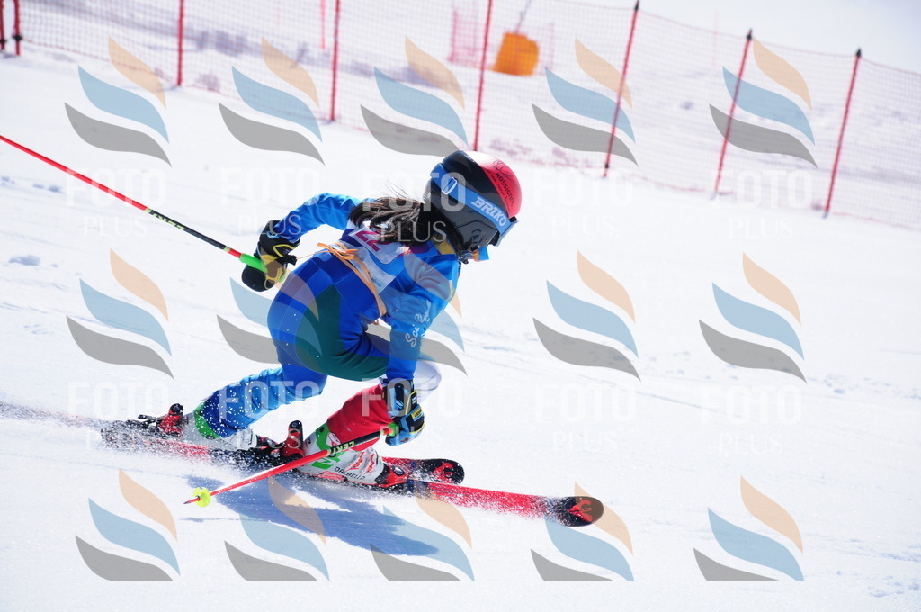 DSC_3833 | holidayphoto