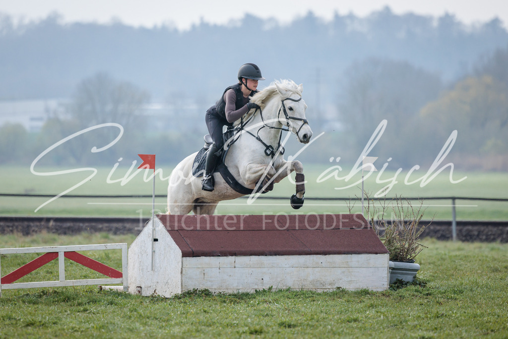 20260329-_3LI3757 | Tierfotografie Pferde, Hunde, Katzen, Haustiere.
Turnierfotografie Reitturniere, Reiten, Springreiten, Dressur in Hanau, dem Main-Kinzig-Kreis und dem Rhein-Main- Gebiet um Frankfurt