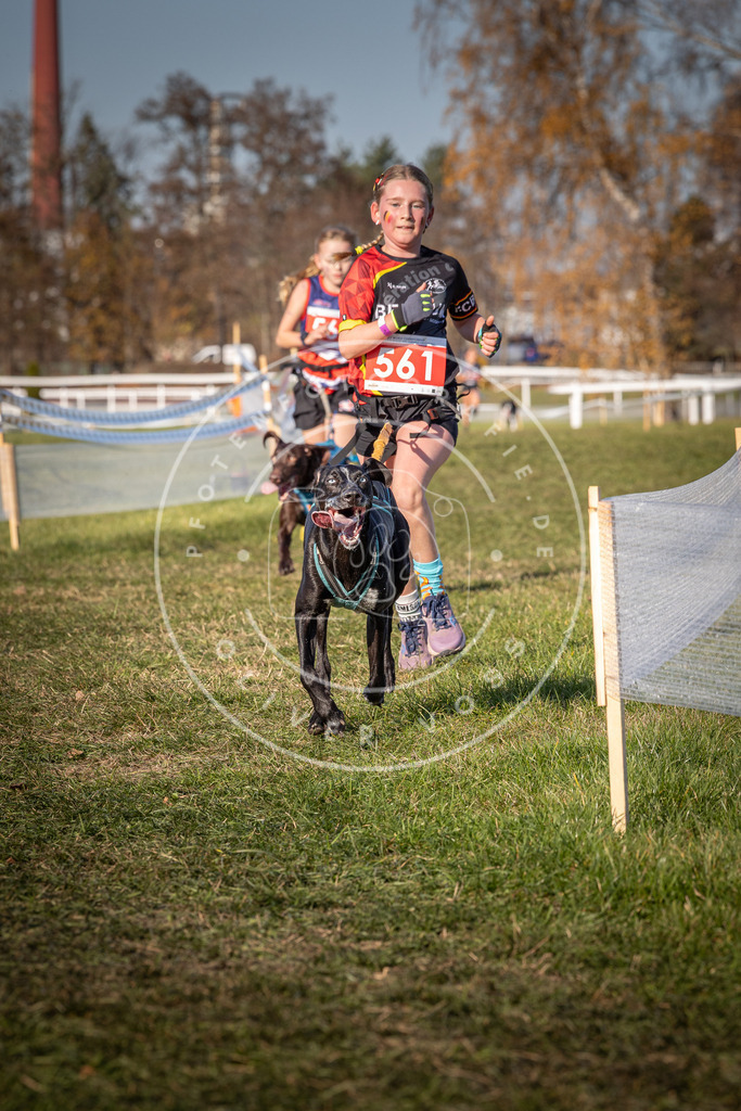 CaniXpix_0L8A7830 | Hundefotografie, Tierfotograf, Pfotenfotografie, Fotoshooting Hund, Hunde Portrait, Hundesport, Hundeportraits, Heideshooting, Hunde, Sportfotograf, Hundefotograf, Turnierhundsport, THS,  - Realisiert mit Pictrs.com