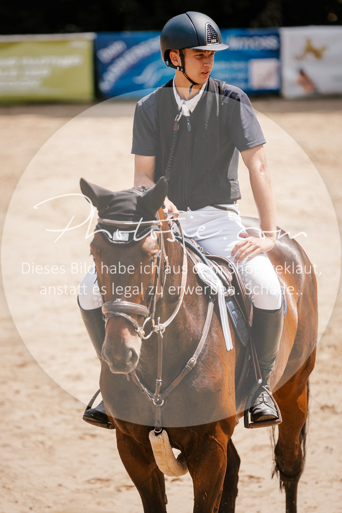3I6A8148 | Stimmungsvolle Portraits und Reitsportfotografie im Ruhrgebiet und im Münsterland.

Pferdefotografie, Hundefotografie, Tierfotografie, Reportagen, Portraits von Tier und Mensch, Turnierfotografie in Bochum, Recklinghausen, Marl, Haltern am See, Dülmen.. - Realisiert mit Pictrs.com