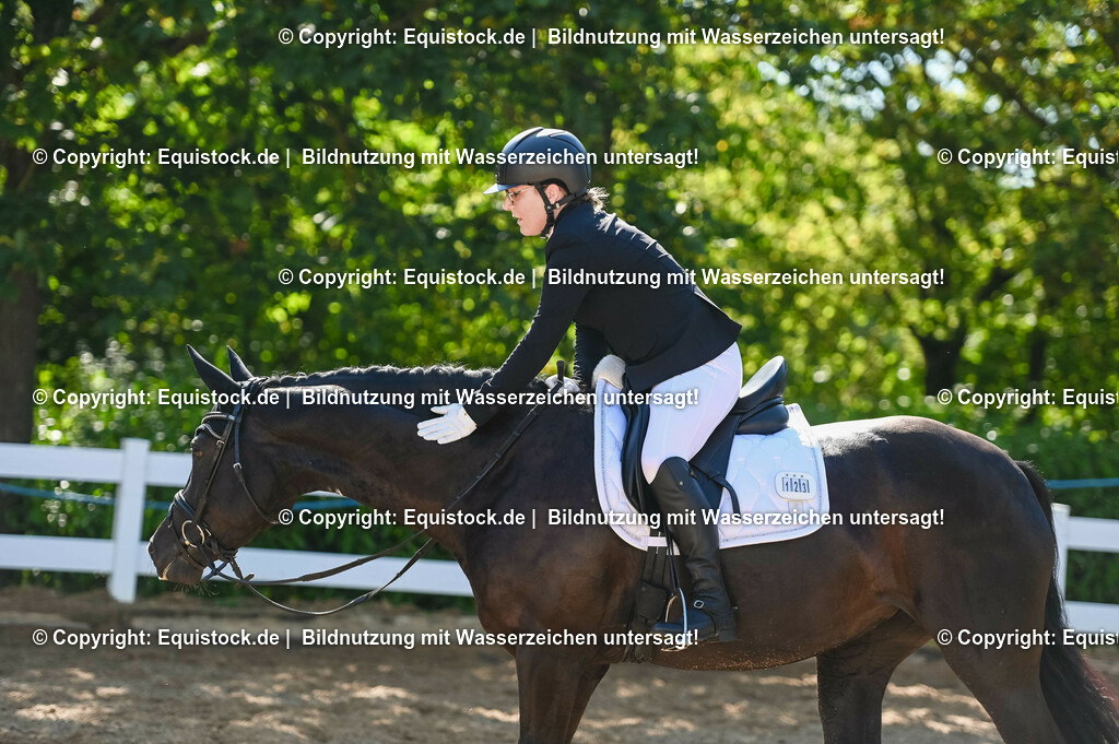 20230715_06_Dressurpferdeprfg. Kl.A_0355 | equistock