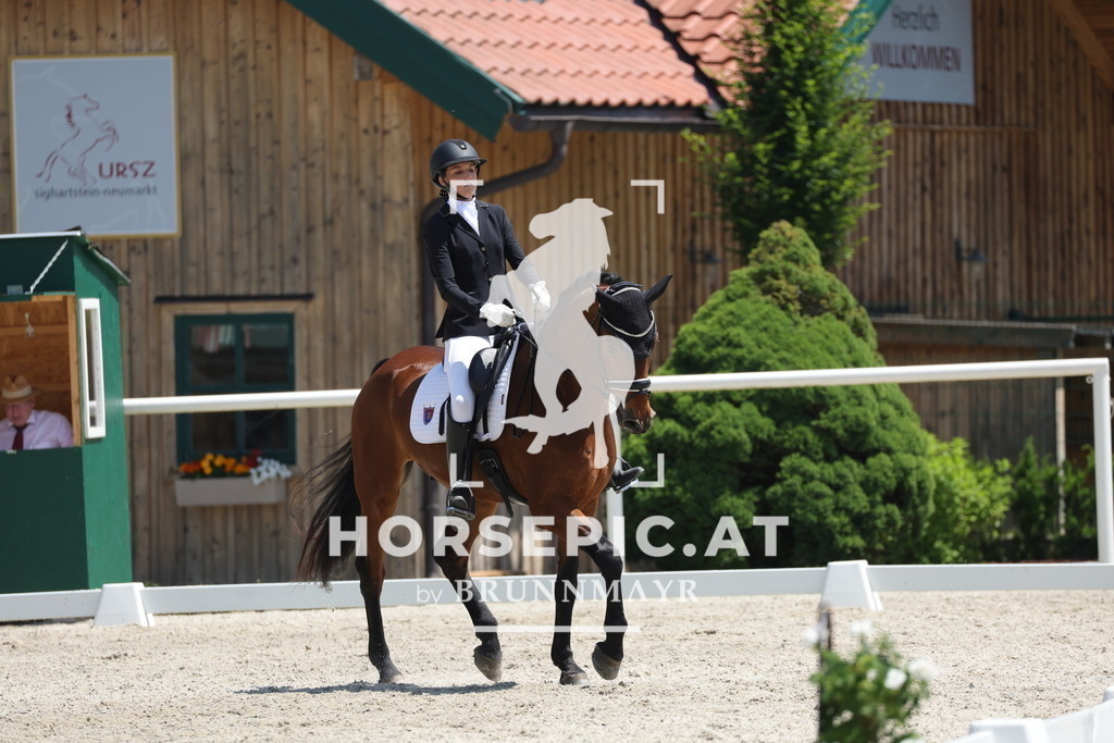 0P6A1613 | Willkommen bei Brunnmayr - Design & Fotografie – Ihrem Spezialisten für Reitturniere und Pferdeveranstaltungen in Oberösterreich, Salzburg und Bayern! Seit über 17 Jahren sind wir leidenschaftlich dabei.