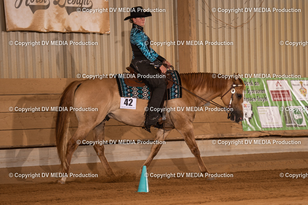 NID00402 | dv-media-shop - Realisiert mit Pictrs.com