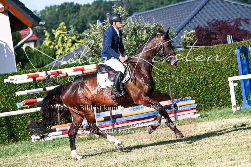 DSC_7436 | Pferde- und Turnierfotografie in Westsachsen. Pferdeportraits, Auftragszeichnungen und intuitive Kunst.